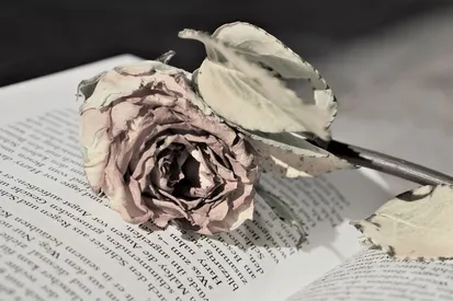 you ar the page
