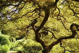 canstockphoto35665699
