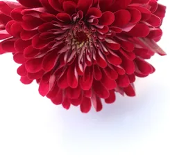 The Justice Files:Speculative Fiction background
